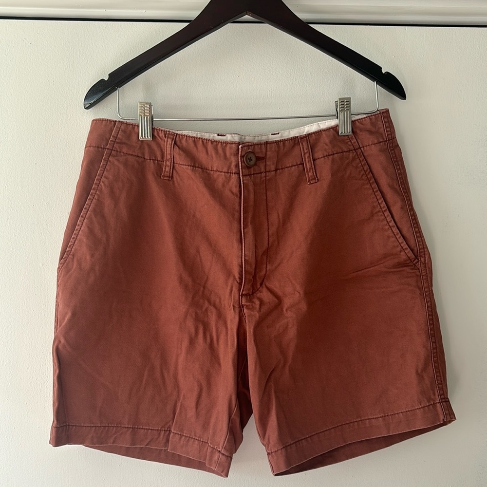 Rusty Mauve Lived In Straight Men's Short